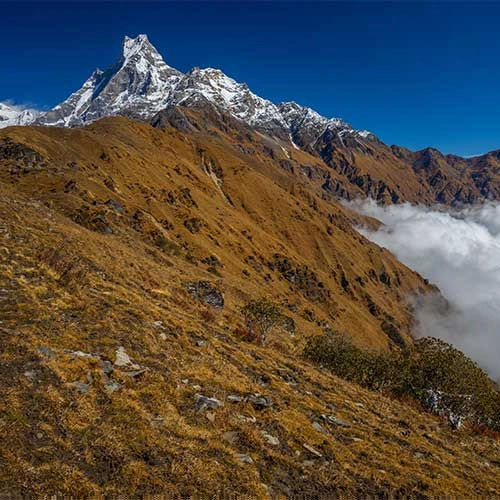 Mardi Himal
