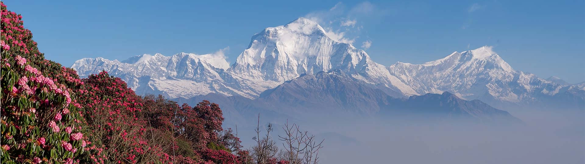 Mount Annapurna