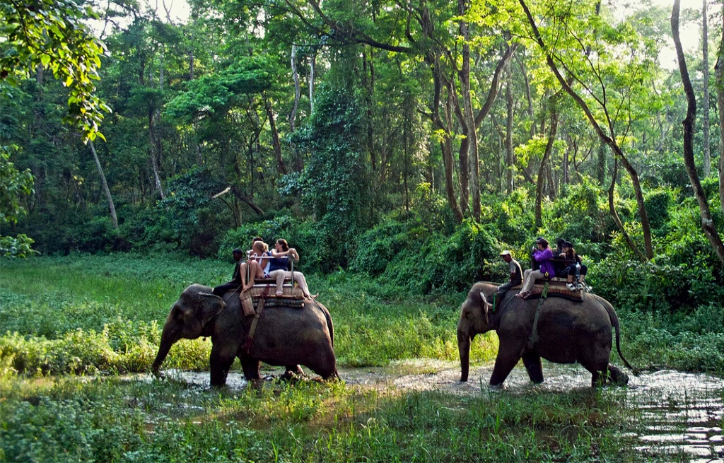 Jungle Safari Tour in Bardiya National Park