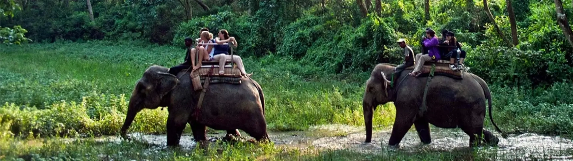 Web Banner for Best Places to Visit In Nepal With Family