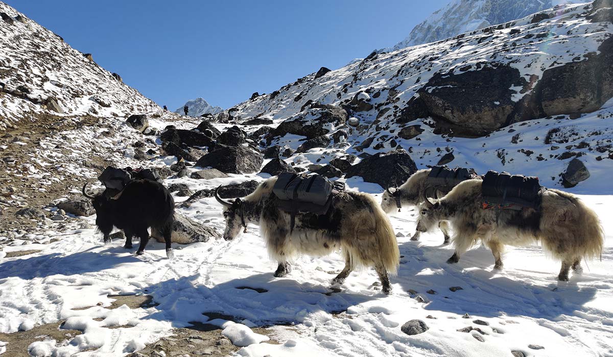 Weather and Climate of Everest Base Camp In November