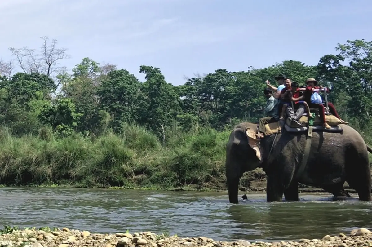 Jungle Safari during Chitwan National Park