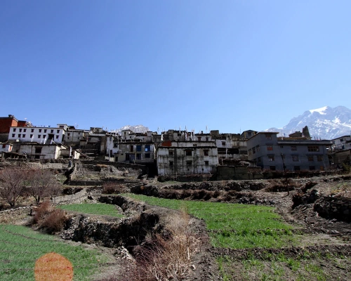 Annapurna Circuit Trekking