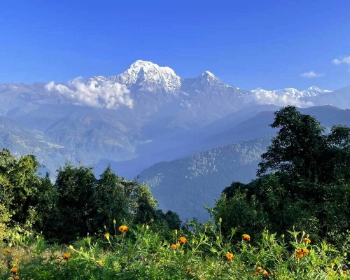 Annapurna View Mardi Trek