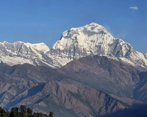 Dhaulagiri View Khopra Trel