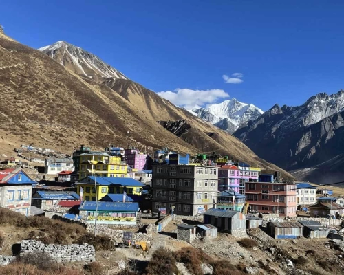 Langtang Trekking Kyanjin V