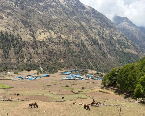 Lho Village