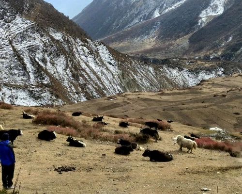 Manaslu Round Trek