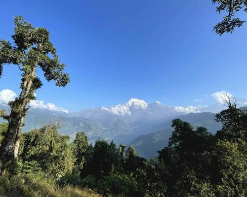 Mardi Himal And Abc Trek