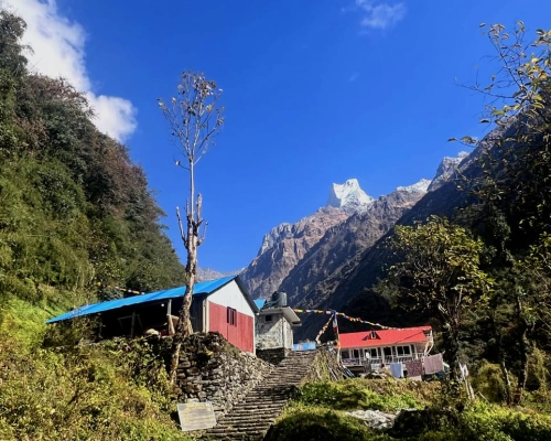 Mt Fishtail Abc Trek