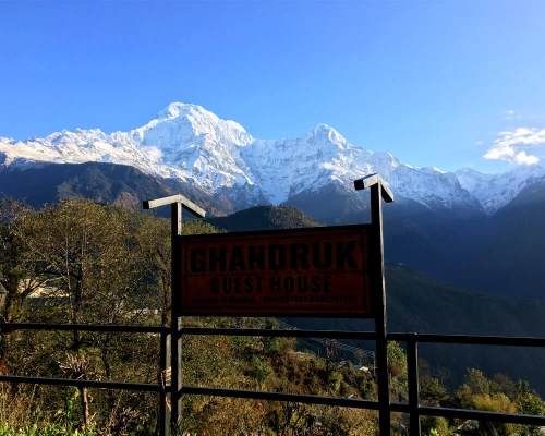 Pokhara Ghandruk Tour