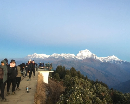 Poon Hill Short Trek