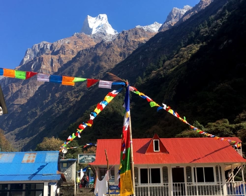 Teahouse Annapurna Base Cam